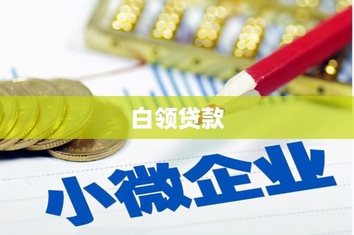 元长白领贷款