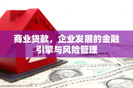 元长商业贷款，企业发展的金融引擎与风险管理