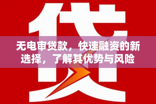 元长无电审贷款，快速融资的新选择，了解其优势与风险