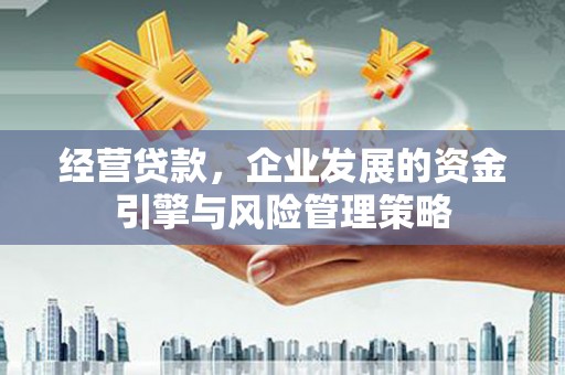 元长经营贷款，企业发展的资金引擎与风险管理策略