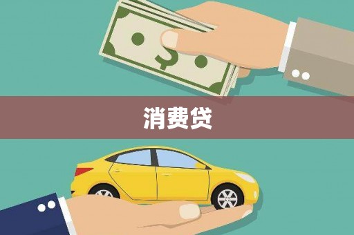 元长消费贷