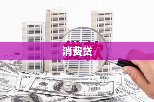 元长消费贷