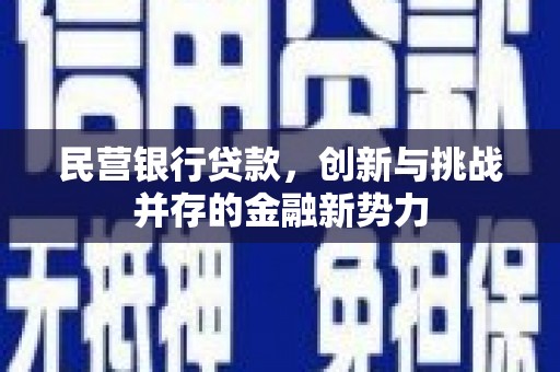 元长民营银行贷款，创新与挑战并存的金融新势力