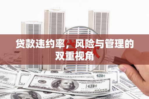元长贷款违约率，风险与管理的双重视角
