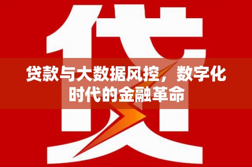 元长贷款与大数据风控，数字化时代的金融革命