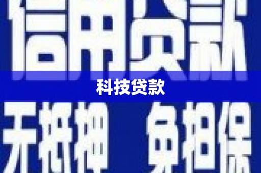 元长科技贷款