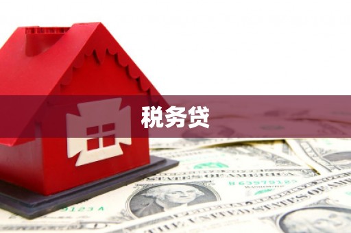 元长税务贷