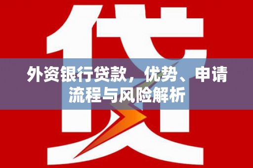 元长外资银行贷款，优势、申请流程与风险解析