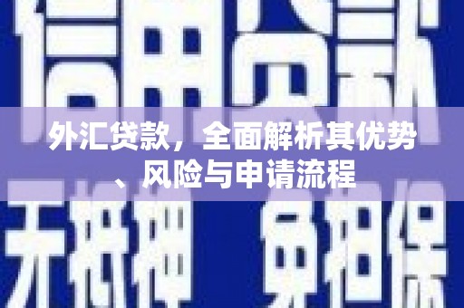 元长外汇贷款，全面解析其优势、风险与申请流程