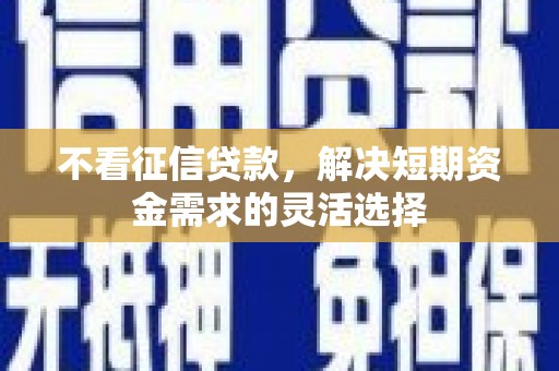 元长不看征信贷款，解决短期资金需求的灵活选择