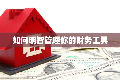 元长如何明智管理你的财务工具