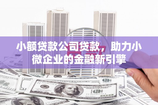 元长小额贷款公司贷款，助力小微企业的金融新引擎
