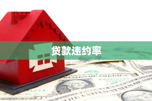 元长贷款违约率