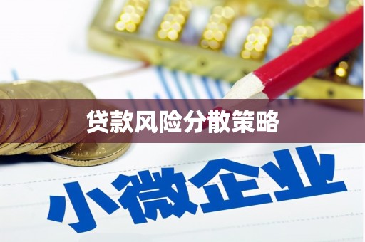 元长贷款风险分散策略