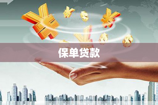 元长保单贷款