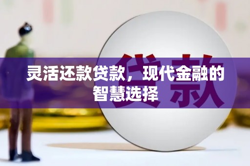 元长灵活还款贷款，现代金融的智慧选择