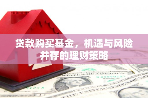 元长贷款购买基金，机遇与风险并存的理财策略