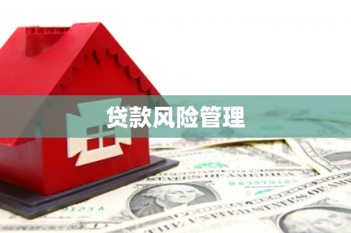 元长贷款风险管理