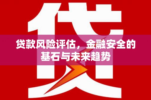 元长贷款风险评估，金融安全的基石与未来趋势