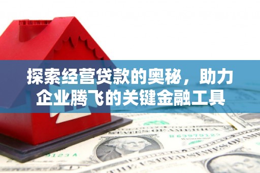 元长探索经营贷款的奥秘，助力企业腾飞的关键金融工具