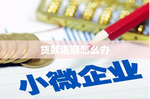 元长贷款逾期怎么办