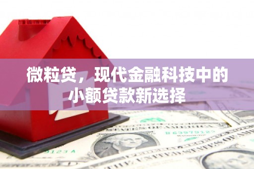 元长微粒贷，现代金融科技中的小额贷款新选择