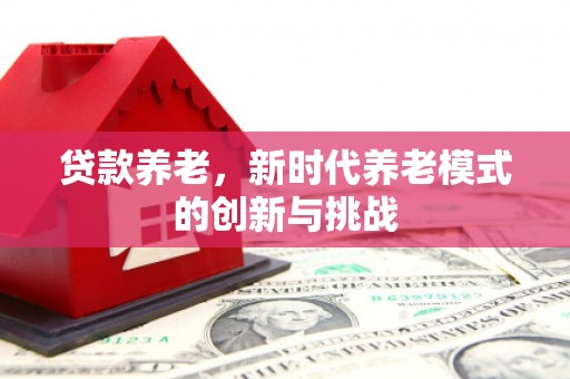 元长贷款养老，新时代养老模式的创新与挑战