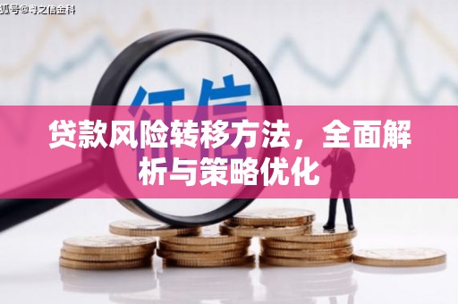 元长贷款风险转移方法，全面解析与策略优化