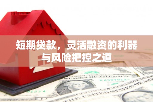元长短期贷款，灵活融资的利器与风险把控之道