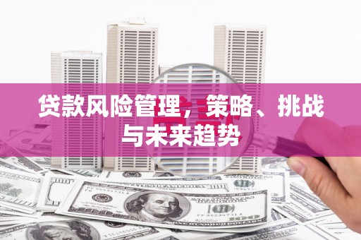 元长贷款风险管理，策略、挑战与未来趋势
