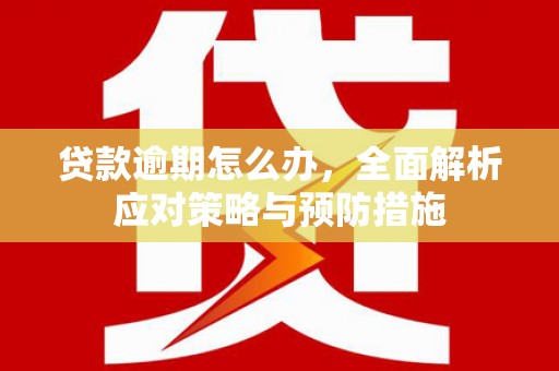 元长贷款逾期怎么办，全面解析应对策略与预防措施