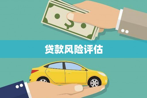 元长贷款风险评估