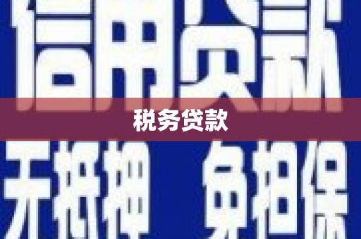 元长税务贷款