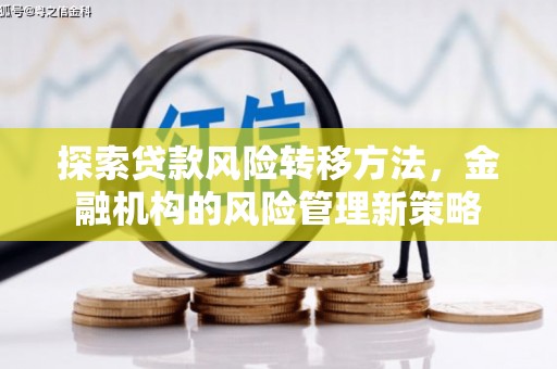 元长探索贷款风险转移方法，金融机构的风险管理新策略