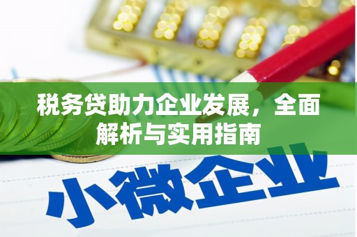 元长税务贷助力企业发展，全面解析与实用指南