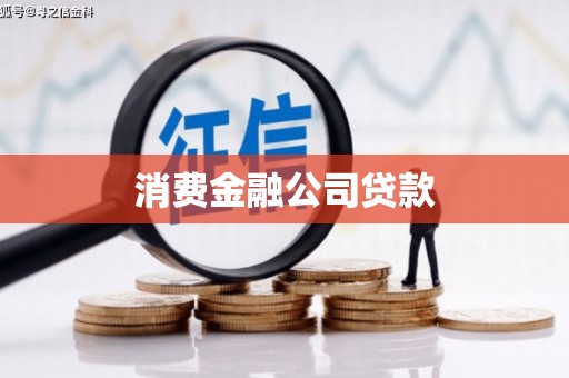 元长消费金融公司贷款