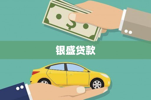 元长银盛贷款