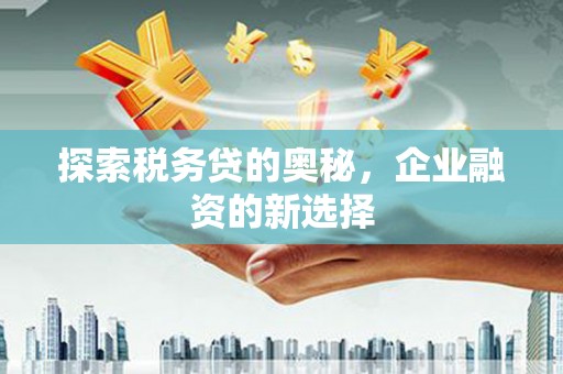 元长探索税务贷的奥秘，企业融资的新选择