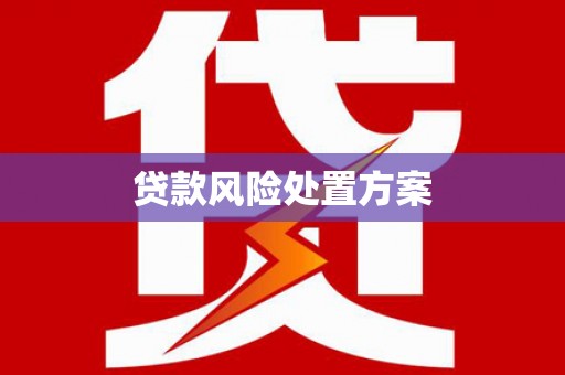 元长贷款风险处置方案