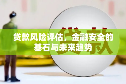 元长贷款风险评估，金融安全的基石与未来趋势