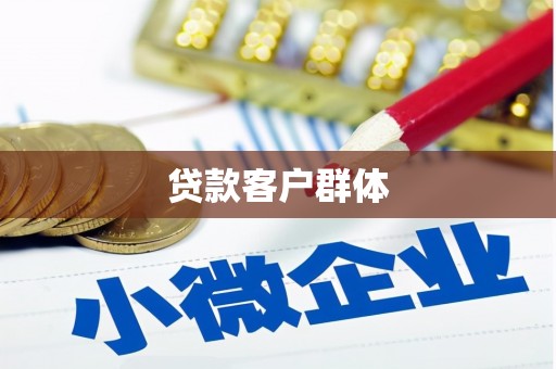 元长贷款客户群体