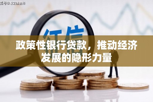 元长政策性银行贷款，推动经济发展的隐形力量