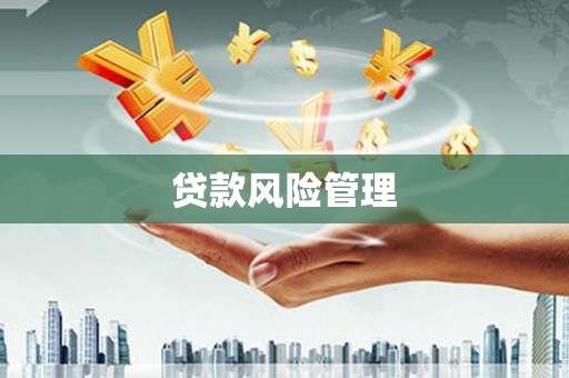 元长贷款风险管理