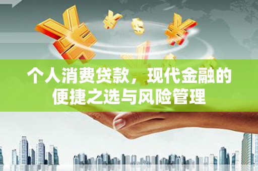 元长个人消费贷款，现代金融的便捷之选与风险管理