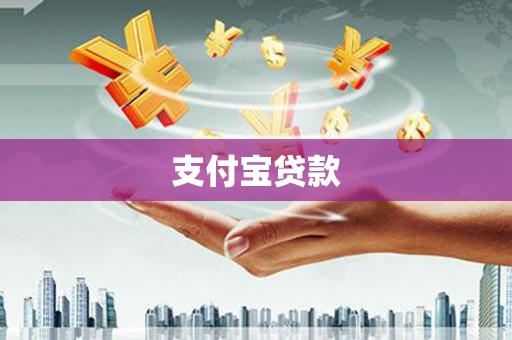 元长支付宝贷款