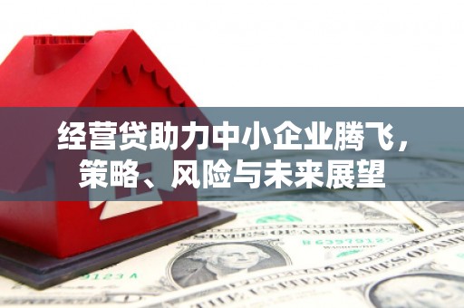 元长经营贷助力中小企业腾飞，策略、风险与未来展望