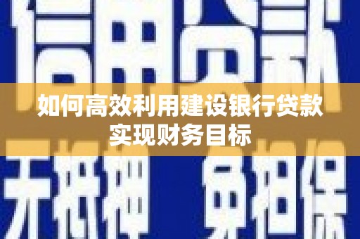 元长如何高效利用建设银行贷款实现财务目标