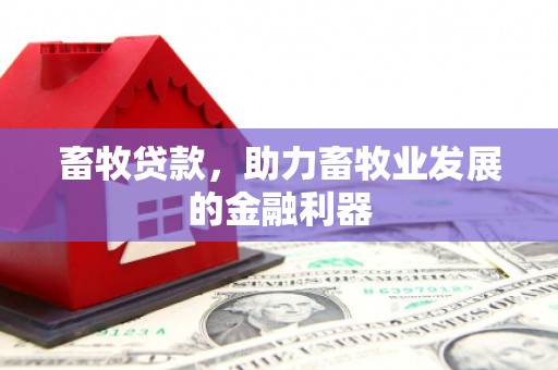 元长畜牧贷款，助力畜牧业发展的金融利器