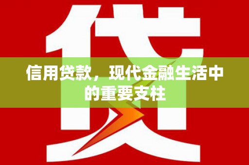 元长信用贷款，现代金融生活中的重要支柱