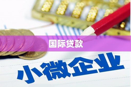 元长国际贷款